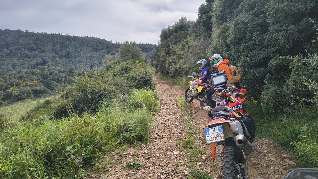 Giro