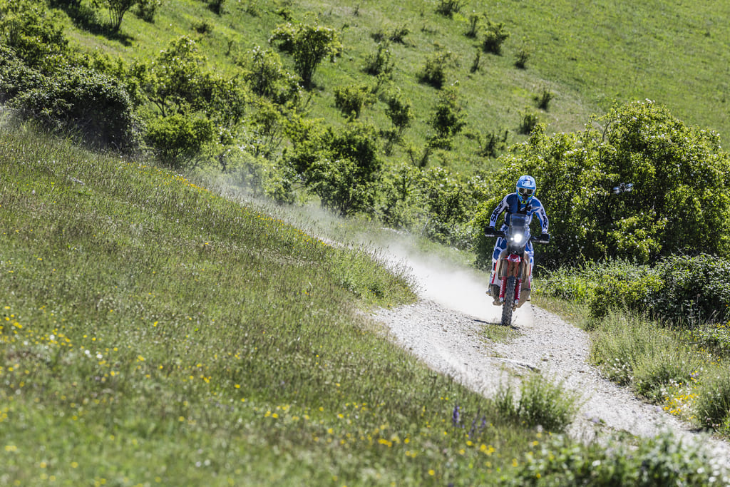 Action Honda CRF Rx Rally