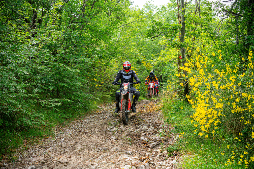 Giro