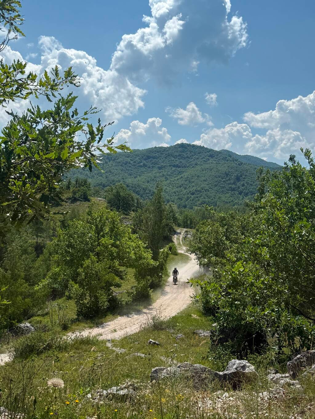 Croazia
